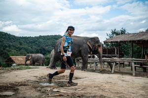 BIB: 8012
                            <button type="button" onclick="openModal(22424104)" class="btn btn-primary btn-sm float-right btn-popup" data-toggle="modal" data-target=".modal-high-quality">
                        <i class="fas fa-shopping-cart"></i> Add to Cart
                    </button>
                                            <button type="button" onclick="isThisMe(22424104, true)" class="btn btn-success btn-sm float-right btn-popup btn-isme hidden" data-toggle="tooltip" data-placement="bottom" title="นี่คือรูปของคุณใช่ไหม คลิกที่นี่เพื่อเอาเข้าอัลบั้ม">
                        <i class="fas fa-plus"></i> Add to album
                    </button>
                    <button type="button" onclick="isThisMe(22424104, false)" class="btn btn-warning btn-sm float-right btn-popup btn-isnotme hidden">
                        <i class="fas fa-ban"></i> Remove from album
                    </button>